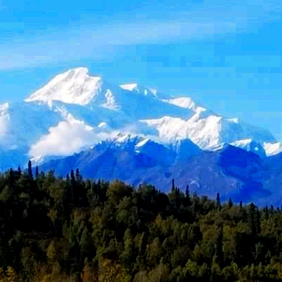 Meet your Posher, Jamie - Picture 1 of 2